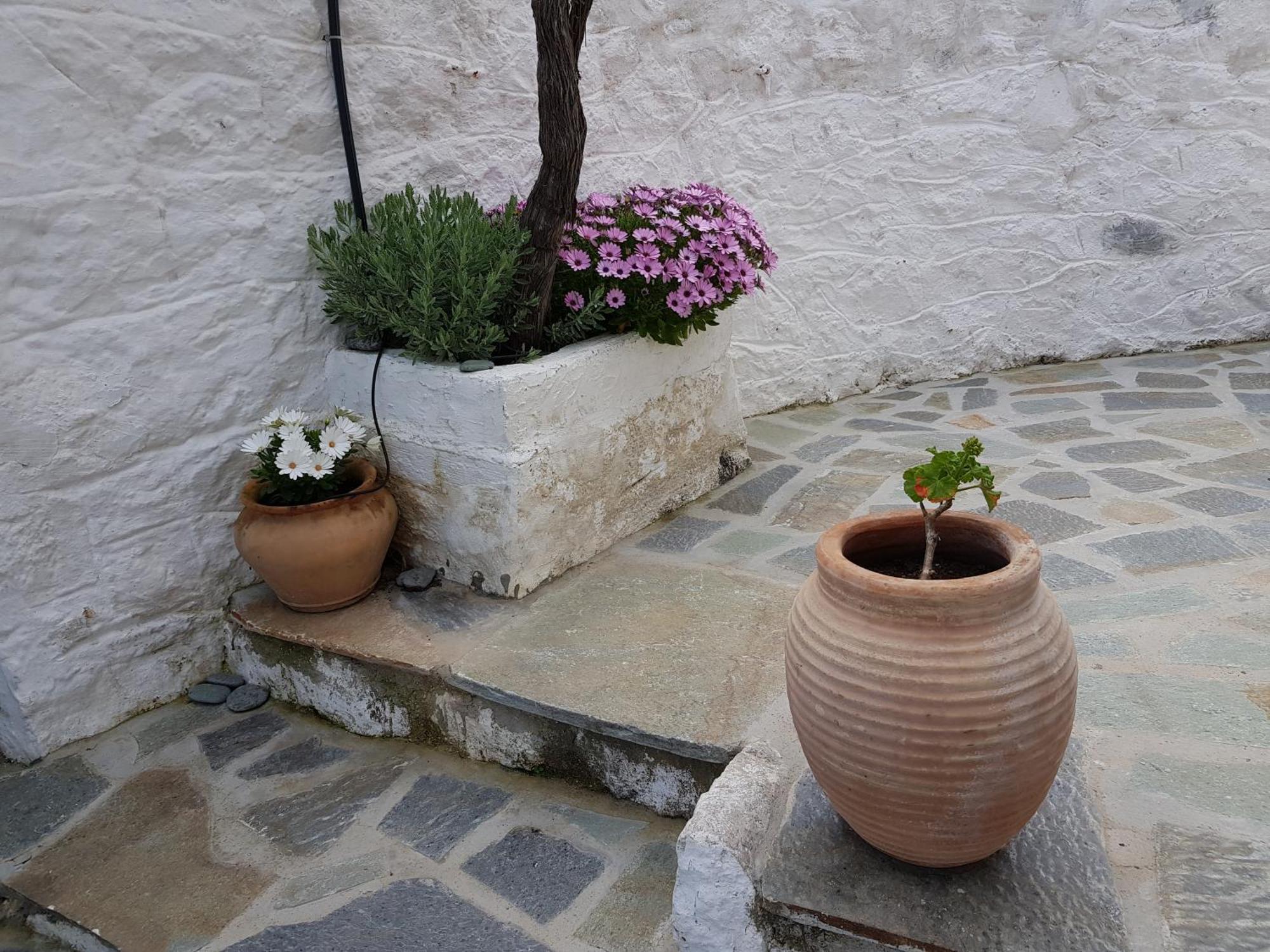 Lovely Traditionnal House With Sea View Tirós Exteriér fotografie